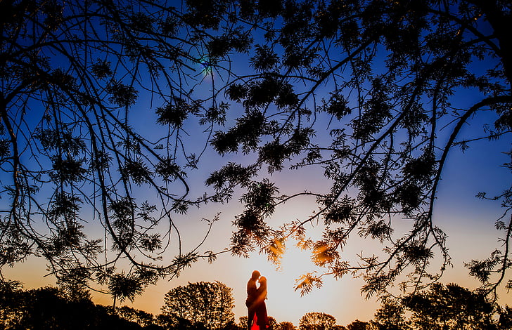 couple, dawn, dusk, nature, outdoors, silhouette, sunrise