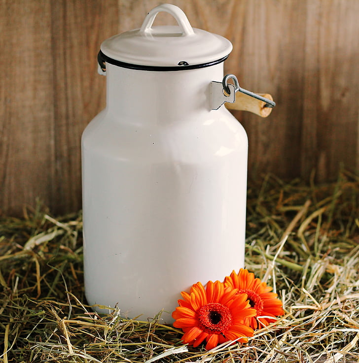 milk can, gerbera, flowers, white, straw, orange, orange gerbera
