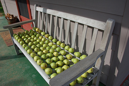 päron, päron på bänk, frukt, grönt päron, faller, jordbruk, mat