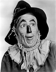 the wizard of oz, ray bolger, actor, scarecrow, character, yellow brick road, movie