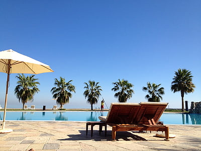 piscina, piscina, agua, recuperación, vacaciones, árboles de Palma, cama del sol