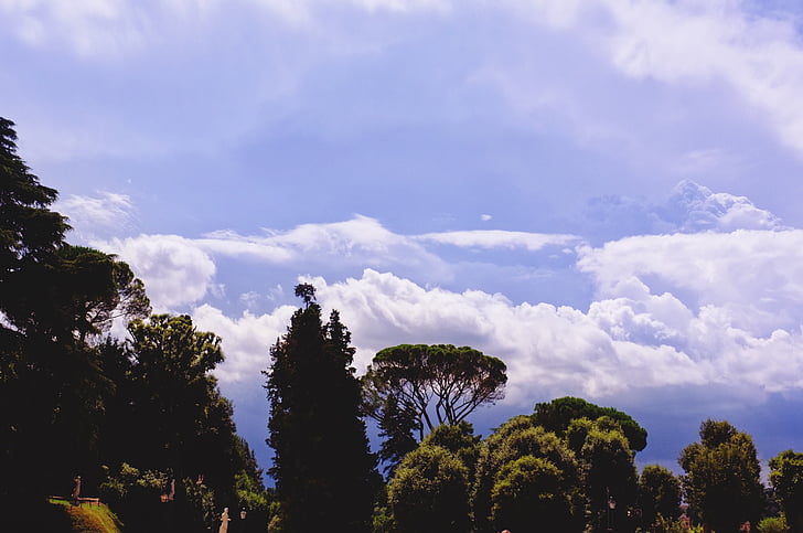 jardim de Boboli, céu, nuvens, Florença, Itália, natureza, árvore