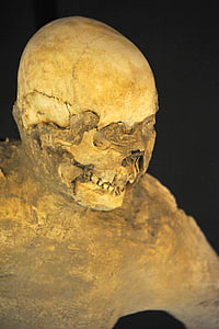 Pompeje, starożytne, Roman, Włochy, archeologicznych, części ciała człowieka, biologii