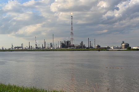 industriel, paysage, usine, Anvers, Schelde, vue, verte