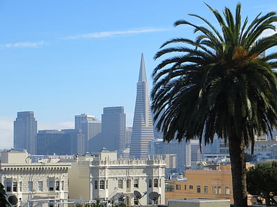 Сан Франциско, Калифорния, САЩ, пирамида Трансамерика, сграда, Palm