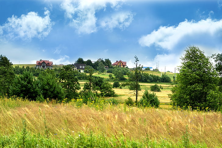 paisaje, Kielce, cielo, árbol, verde, Polonia, hierba