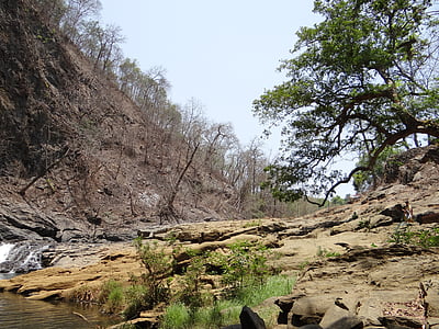 syntheri 岩, ダンデリ, カルナータカ州, インド, ロック, 旅行, 野生