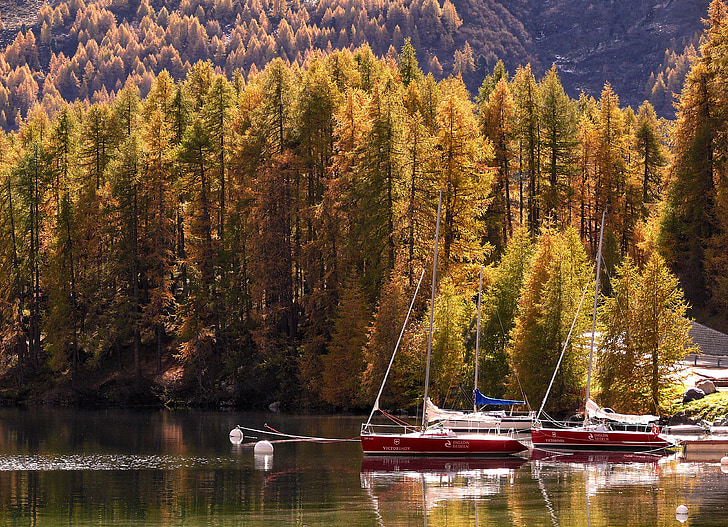 autumn, lake, boats, nature, switzerland, colorful, mirroring