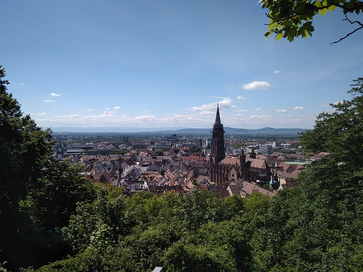 Freiburg, Černý les, Münster, pohled, město, Schlossberg