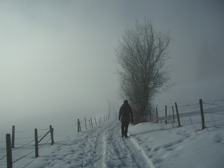 fog, wanderer, winter, snow, white, grey, snow lane