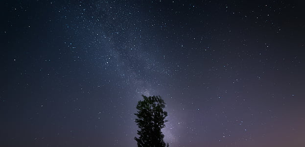 céu estrelado, a Via Láctea, árvore, planos de fundo ppt, papel de parede, o céu de noite