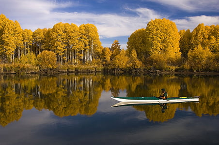adventure, boat, forest, kayak, lake, landscape, placid