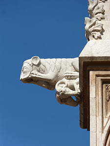 Ukras sa grotesknim likom, gotika, Tarragona katedrala, Tarragona, nebo