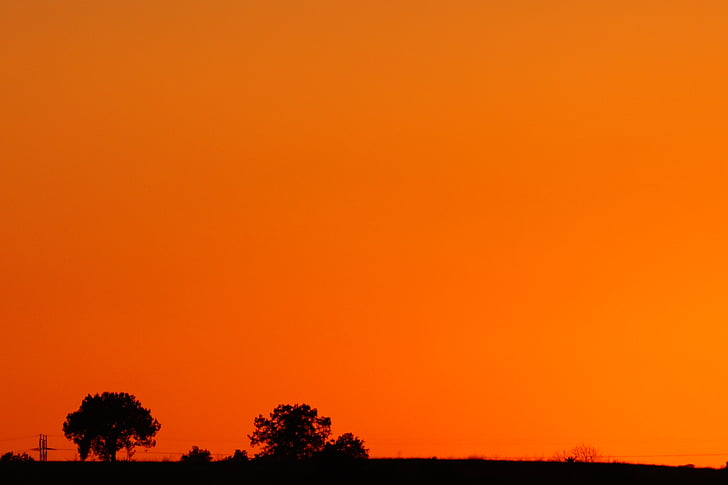 zachód słońca, Meksyk, Tlaxcala, pomarańczowy, światło, Natura, drzewo