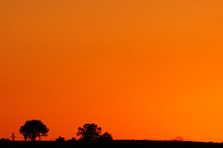 posta de sol, Mèxic, TLAXCALA, taronja, contra la llum, natura, arbre