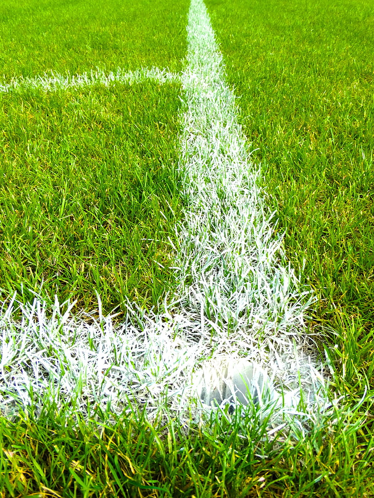 football field, corner, grass, mark, football meadow, football, color
