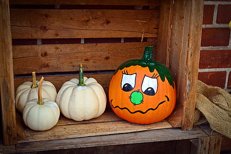 pumpkin, funny, painted, harvest time, sale, decoration, benefit from