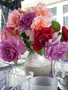 roses, flower, nature, purple, rose, red, vase