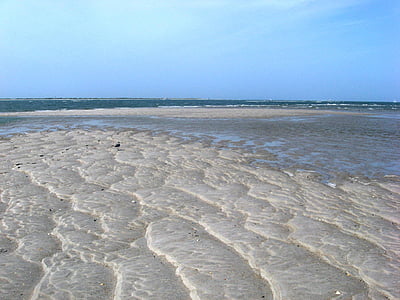 cáscaras de, Isla, mar, Playa, arena, ondas, Océano