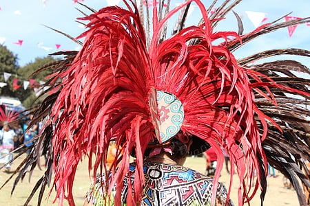 plumes, touffe, rouge, plumage, indienne, rituel, des armoiries