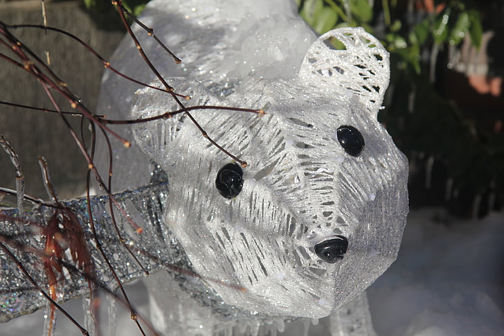isbjørn, dekoration, udendørs, vinter, Bjørn