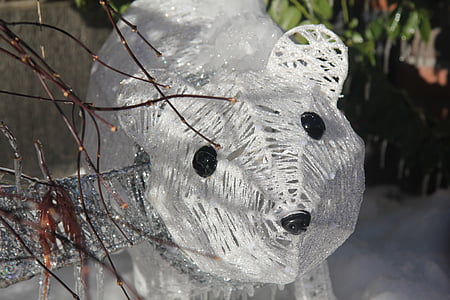 isbjørn, dekoration, udendørs, vinter, Bjørn