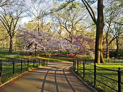 central park, New york, Manhattan, ville, à l’extérieur, NYC, l’Amérique