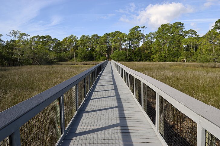 styret spasertur, Marsh land, myr, gangbro, krysset, våtmarksområde, Florida
