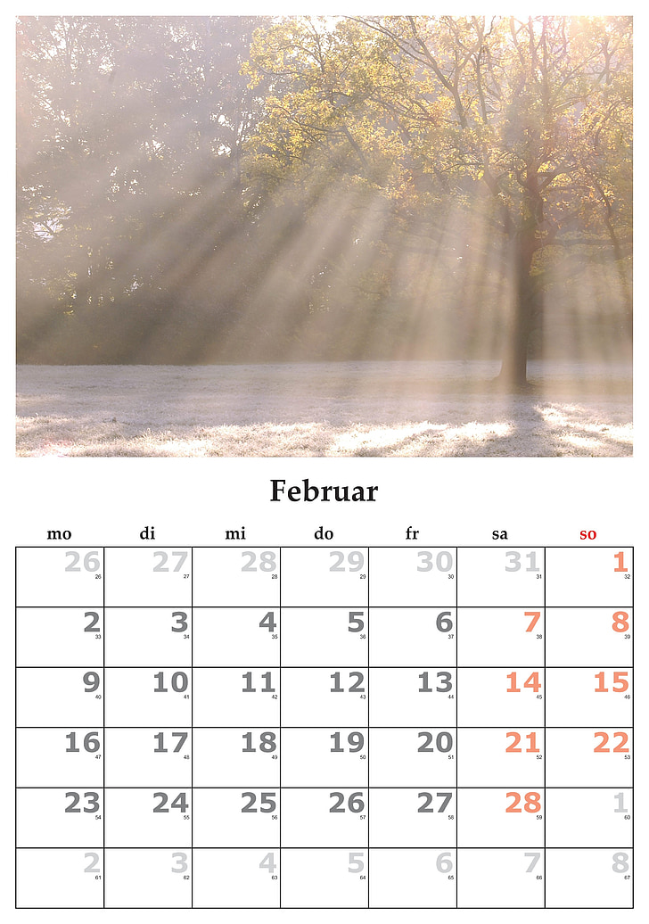 Kalendář, měsíc, února, února 2015