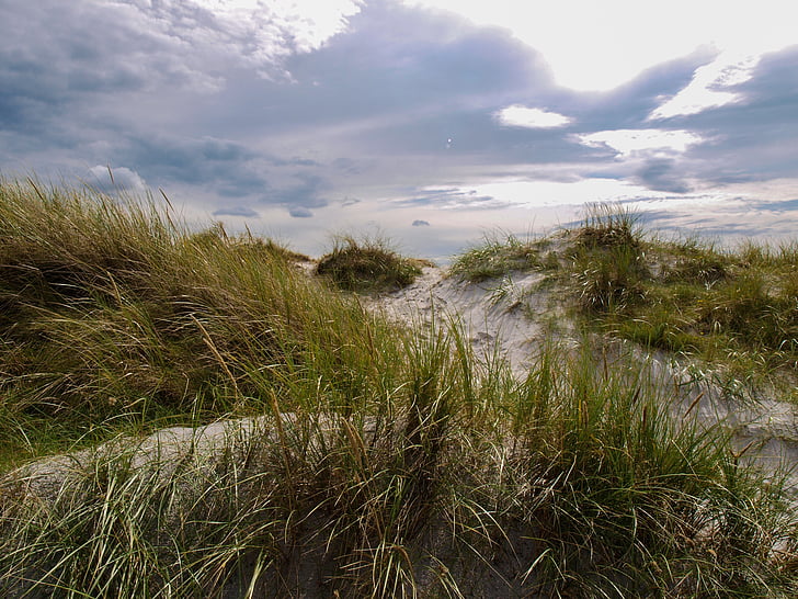 Dune, çimen, gökyüzü, Danimarka, ruh hali, sessiz, manzara