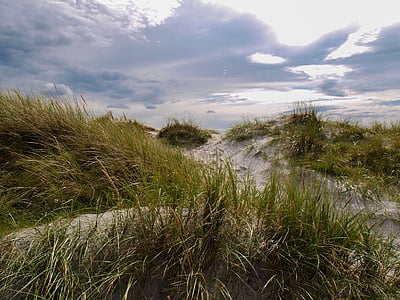 Dune, rumput, langit, Denmark, suasana hati, tenang, pemandangan