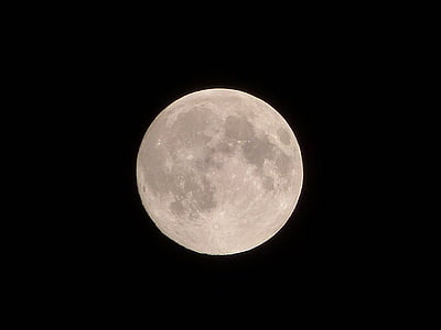 luna, full moon, sky, night, nero
