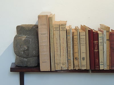 bøker, Frida, Kahlo, gamle, bok, læring, gammeldags