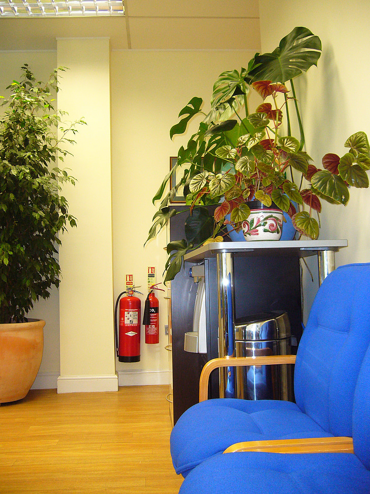 waiting area, chairs, indoor plants, waiting room