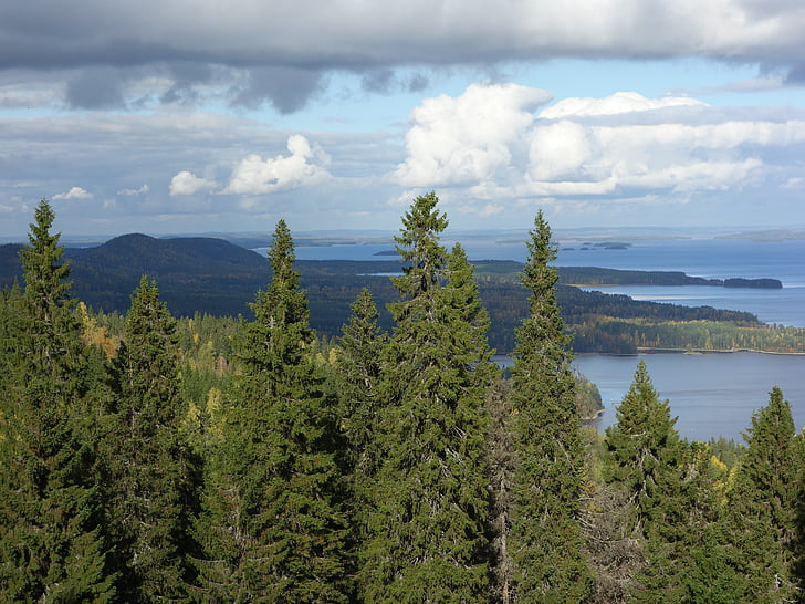 Lieksa, Finlandia, estate, splendido scenario, paesaggio, Tenimento al Castello, natura