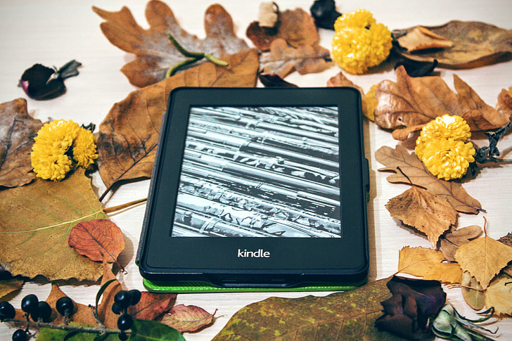 Kindle, pimienta blanca, de la lectura, tecnología, digital, electrónica, libro