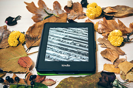 kindle, pepper white, reading, technology, digital, electronic, book