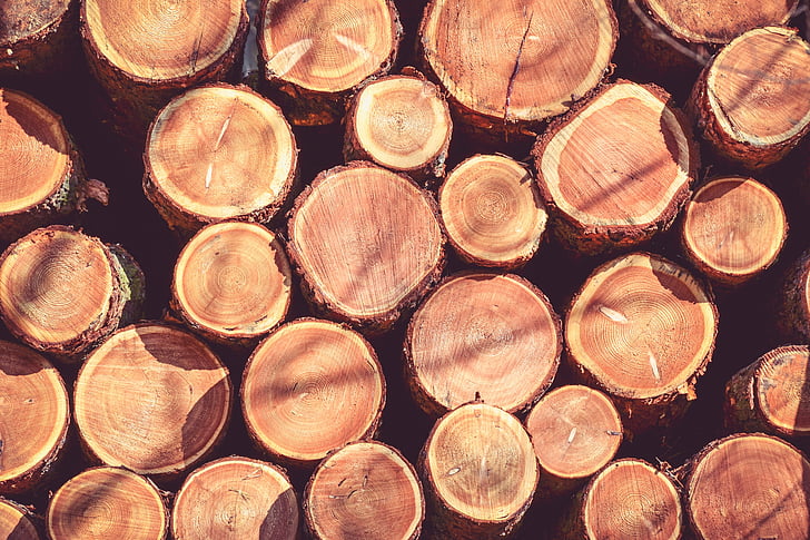 wood, strain, tree, bark, trunk, rings, old