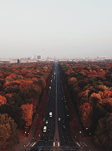 letecký, pohled, beton, cesta, vozidlo, podzim, auto