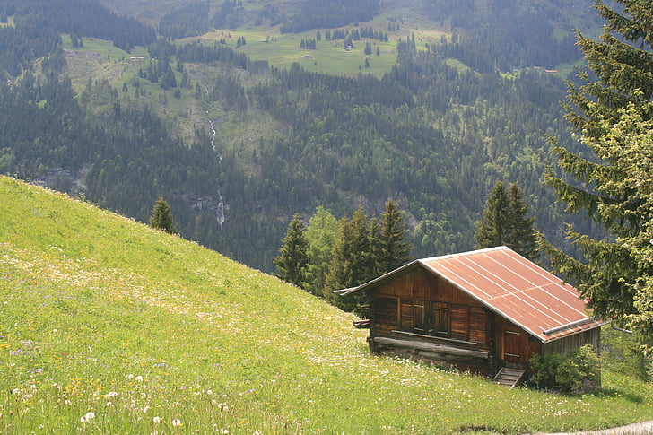 Chalet, kajīte, māja, Alpi, Alpu, Šveice, māja