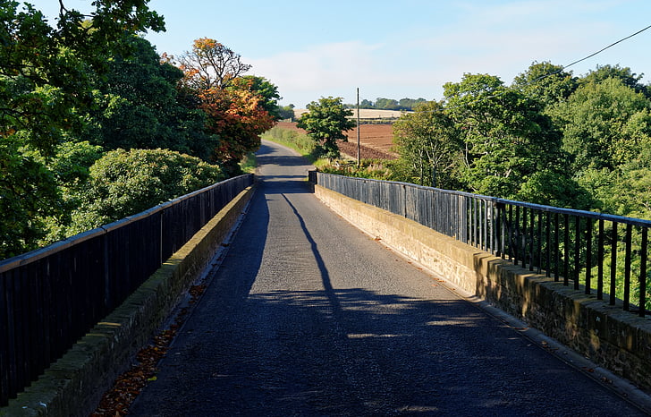 country lane, bridge, lane, country, road, landscape, outdoors