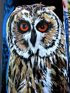 graffiti, owl, bird, sprayer, urban, street art, wall painting