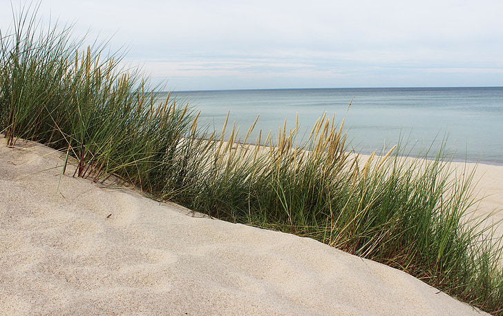 sea, the baltic sea, beach, the coast of the baltic sea, sand, grass, poland