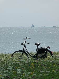 bicikl, more, bicikala, ljeto, odmor, nebo, cvijeće