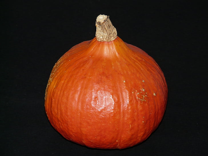 pumpkin, cucurbita, orange, harvest, autumn