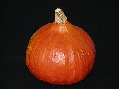 pumpkin, cucurbita, orange, harvest, autumn