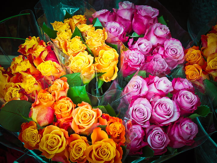 blomster, buket, roser, blomsterarter arrangement, Valentinsdag, farve, dekorative