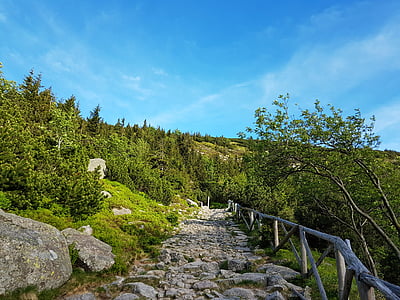 Reuzengebergte-Reuzengebergte, Bergen, vakantie, wandelroutes, natuur, berg trekking, weergave