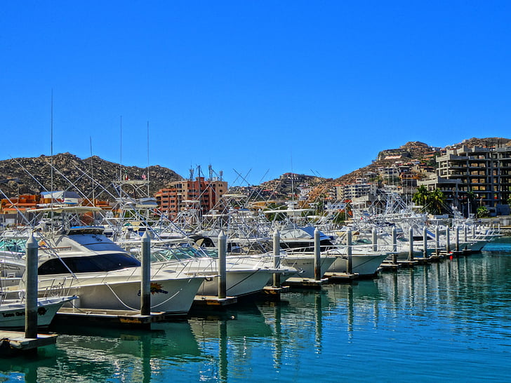 Marina, Los cabos, Cabo san lucas, kikötve, víz, tengeri hajó, kikötő