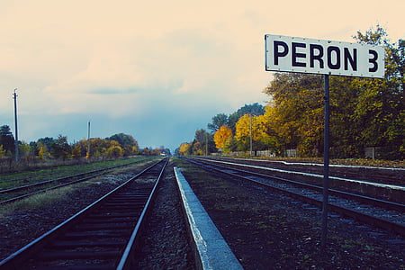 peron, tracks, vanishing, autumn, rails, railway, pkp